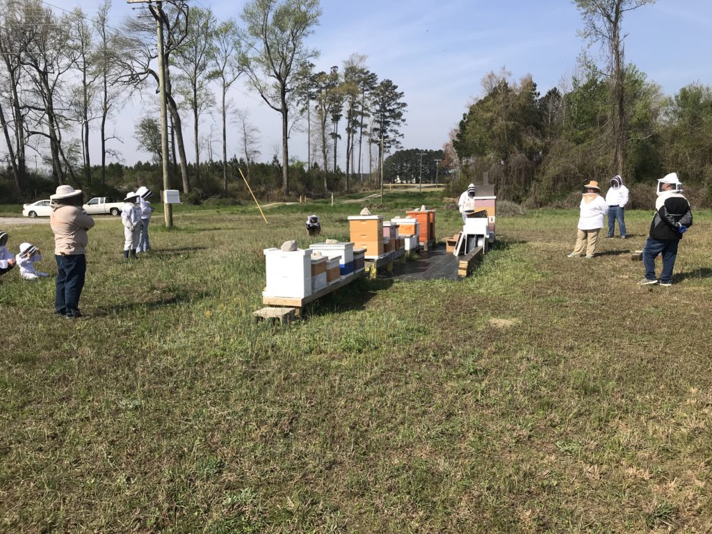 2024 Beginner Beekeeper School